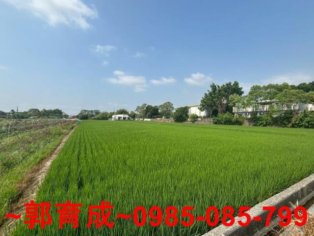 嘉義農地-7