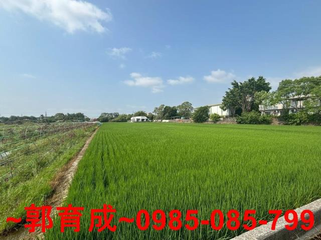 嘉義農地-1