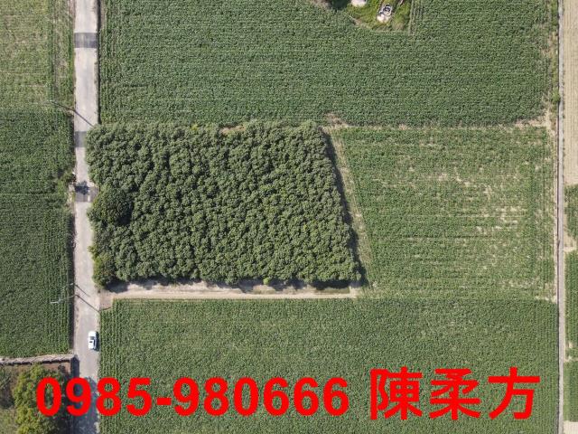 嘉義義竹農地-10