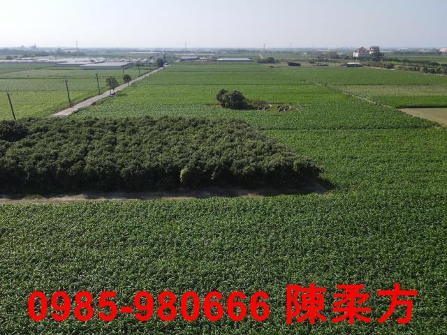 嘉義義竹農地-12