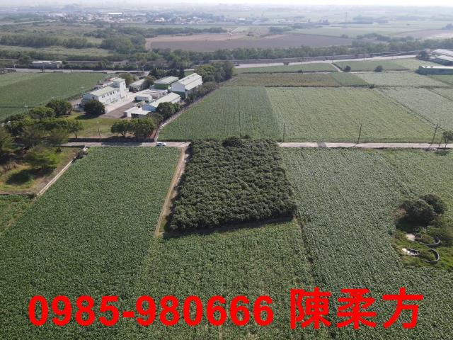 嘉義義竹農地-13