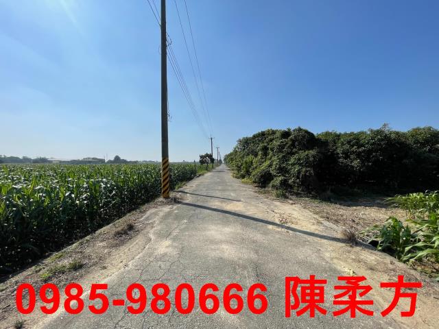 嘉義義竹農地-1