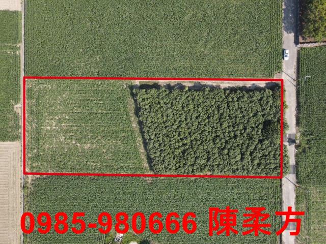 嘉義義竹農地-3