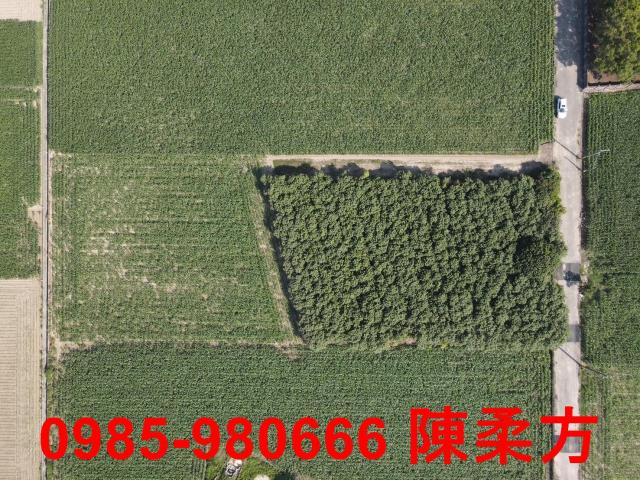 嘉義義竹農地-6