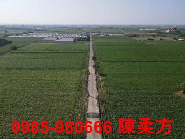 嘉義義竹農地-7