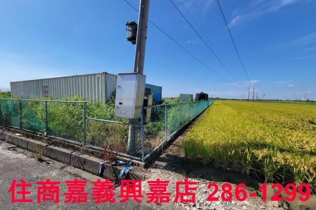 嘉義新港農地-4