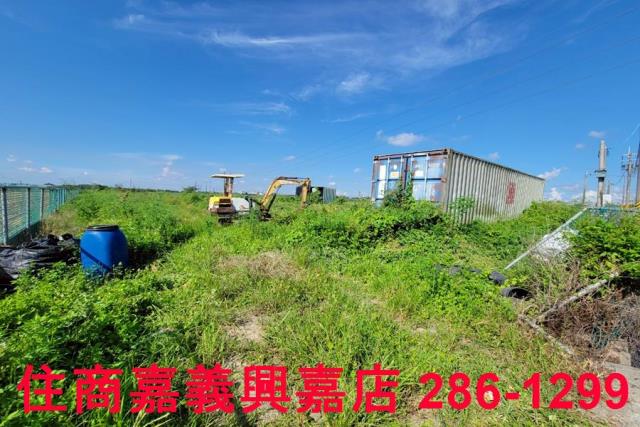 嘉義新港農地-5