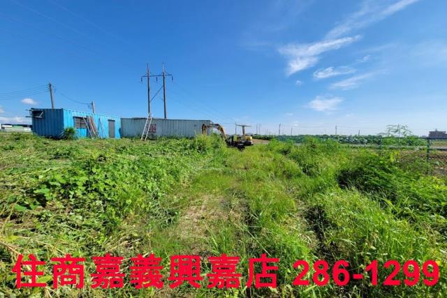 嘉義新港農地-6