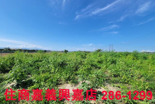 嘉義新港農地-7