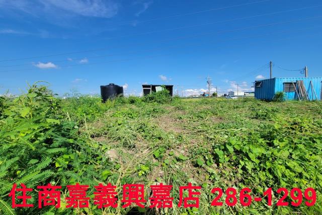 嘉義新港農地-8