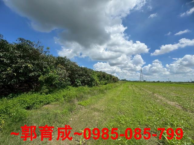 嘉義農地-1