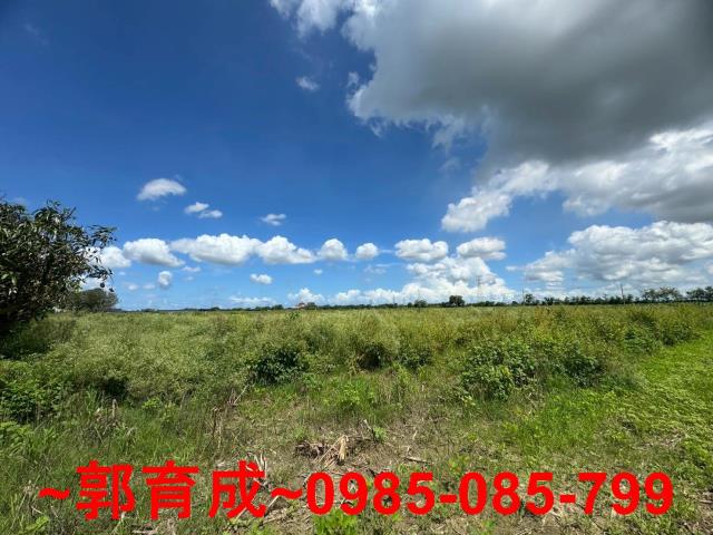 嘉義農地-4