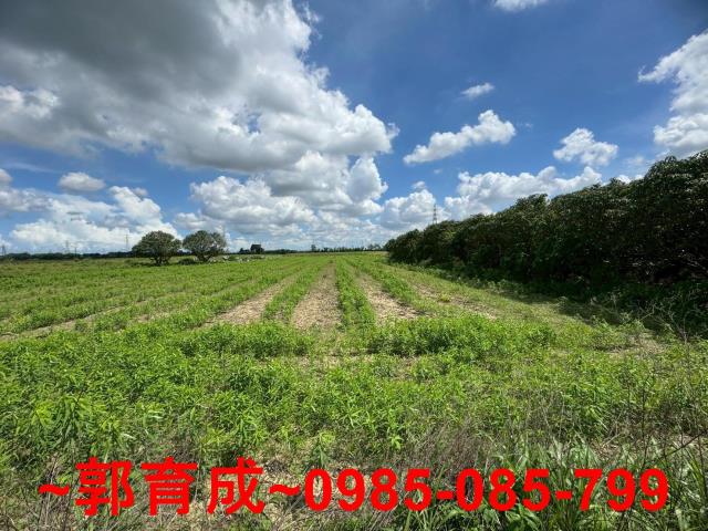 嘉義農地-5