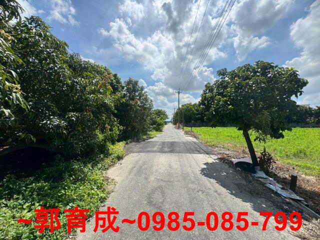 嘉義農地-8