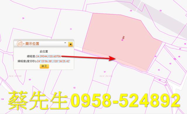 台中大安區法拍農地-10