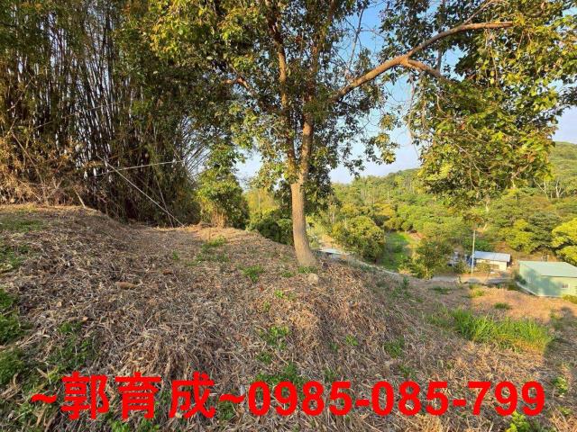 嘉義竹崎農地-1