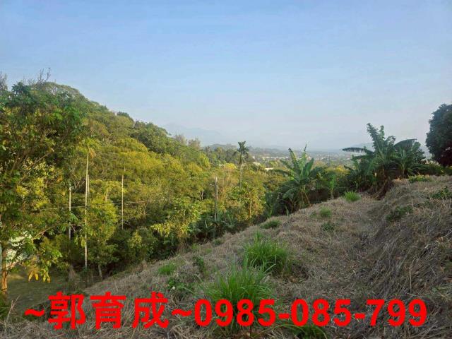 嘉義竹崎農地-2