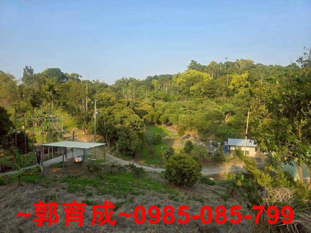 嘉義竹崎農地-4