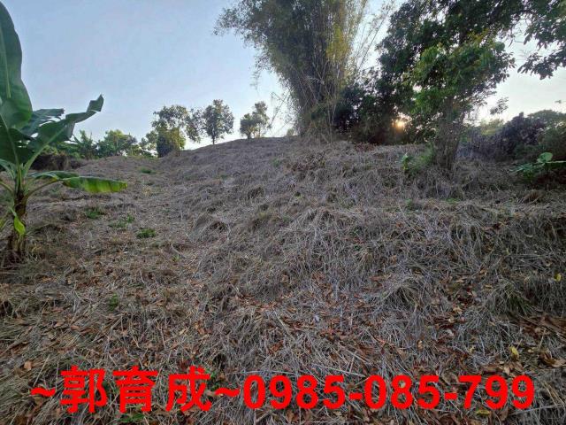 嘉義竹崎農地-7