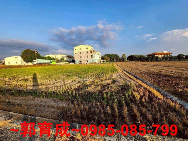 嘉義溪口農地-1