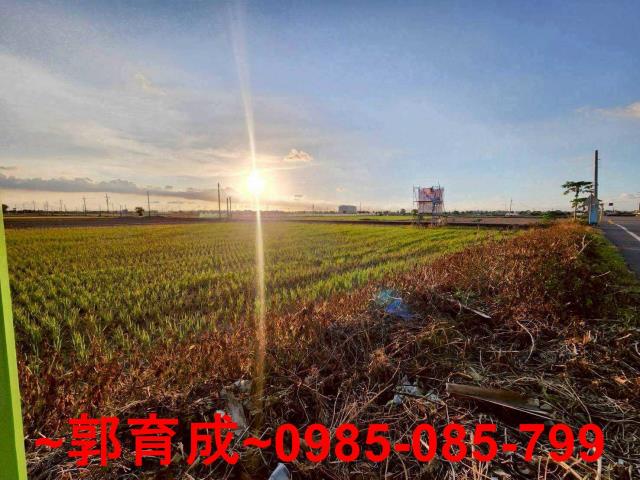 嘉義溪口農地-2