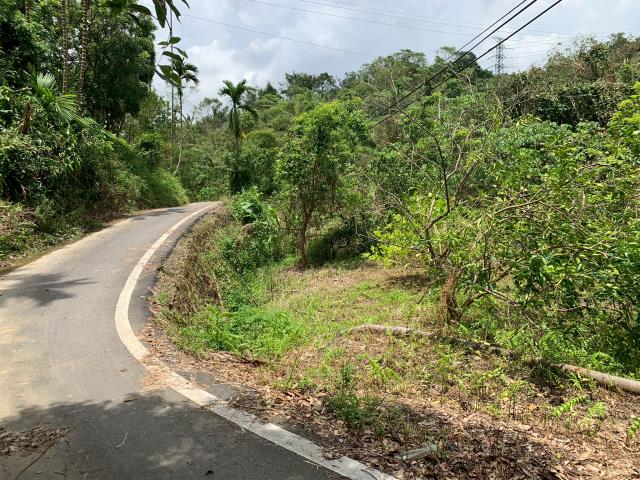 嘉義竹崎農地-1