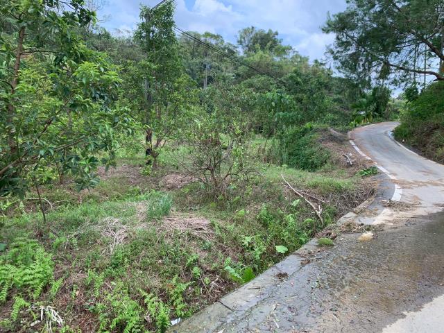 嘉義竹崎農地-2