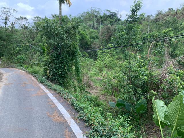 嘉義竹崎農地-3