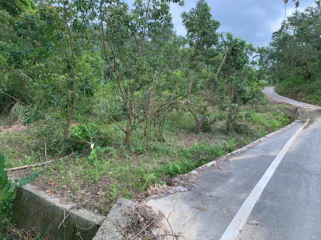 嘉義竹崎農地-5