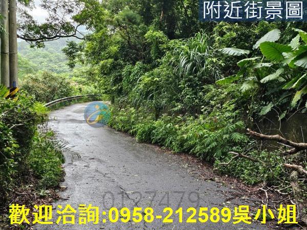 南庄山坡地-10