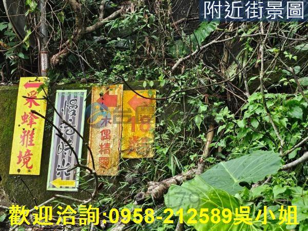 南庄山坡地-11