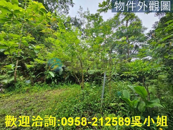 南庄山坡地-2