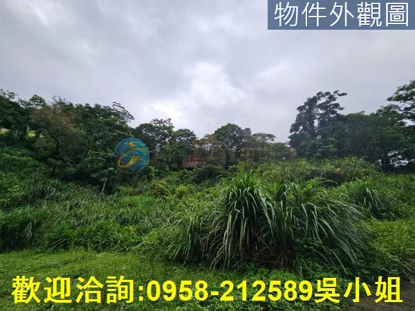 南庄山坡地-3