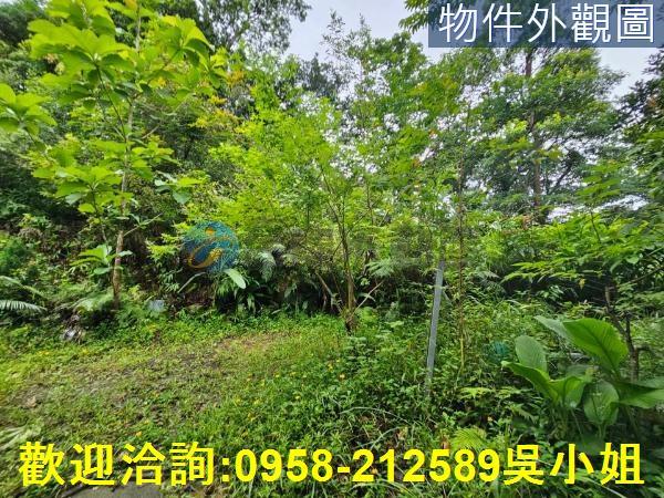 南庄山坡地-4