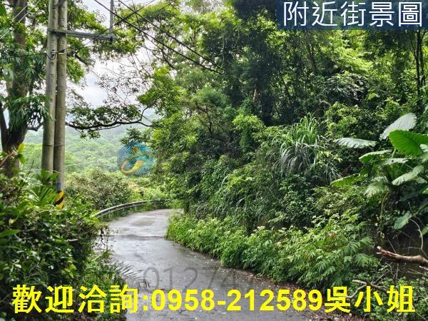南庄山坡地-9