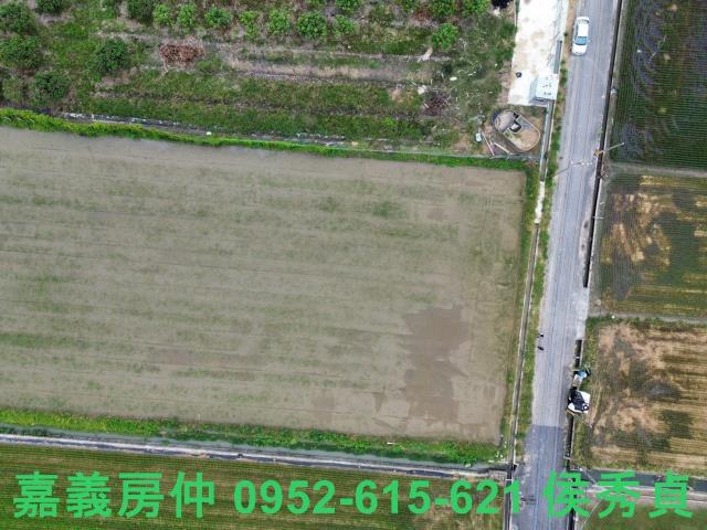 嘉義農地-3