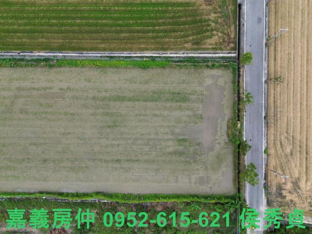 嘉義農地-6