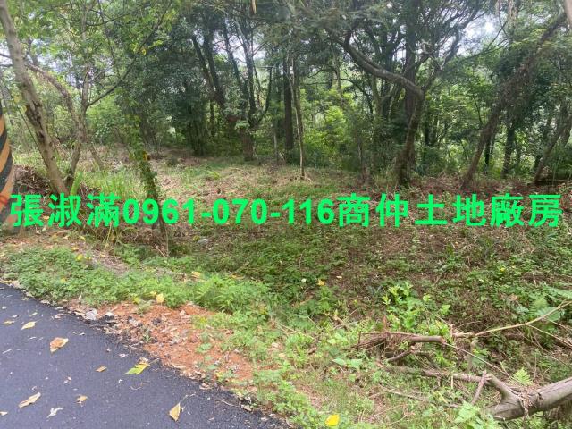 新竹關西農地-1