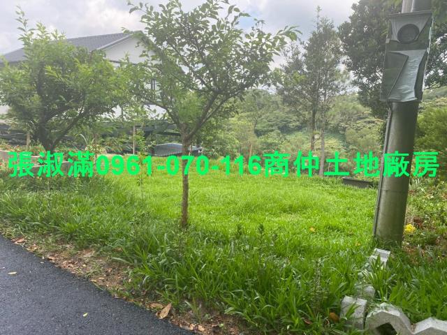 新竹關西農地-2