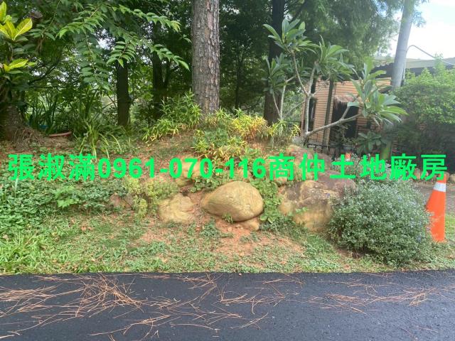 新竹關西農地-5