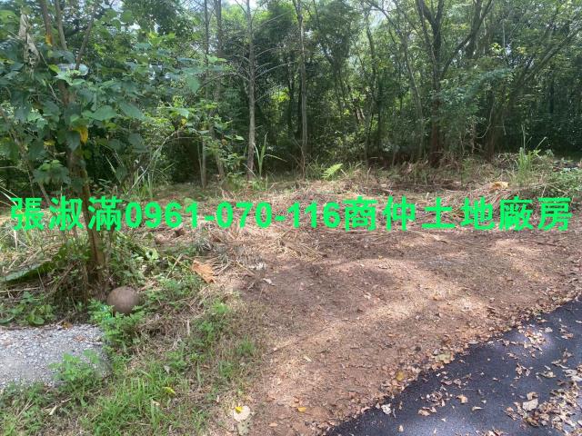 新竹關西農地-6