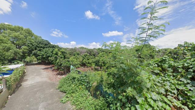 大里農地法拍-10