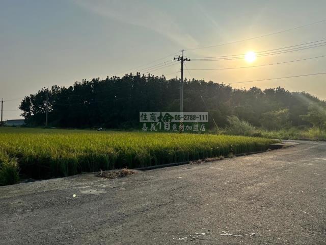 嘉義民雄農地-1