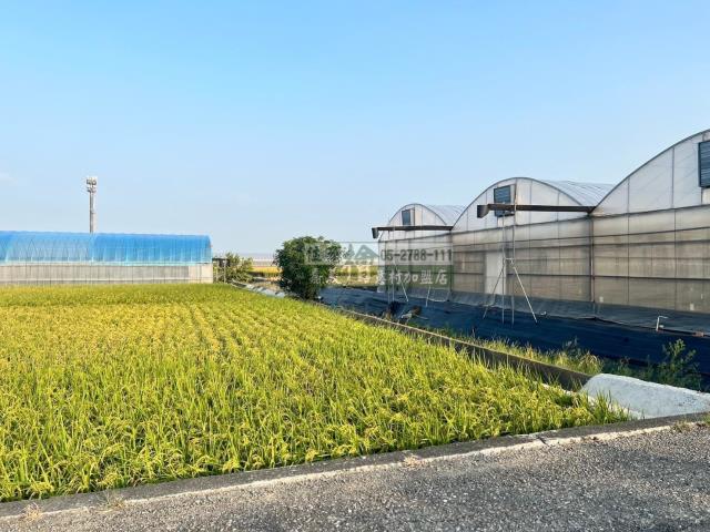 嘉義民雄農地-2