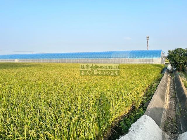 嘉義民雄農地-3