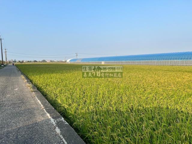 嘉義民雄農地-4