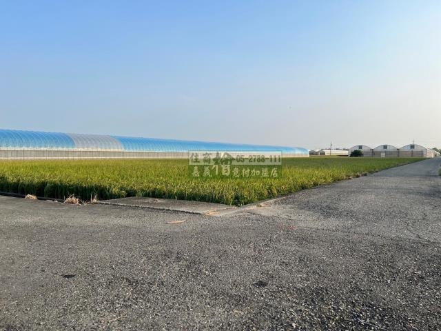 嘉義民雄農地-6