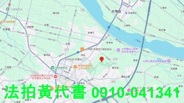台中大甲法拍墳墓用地-8