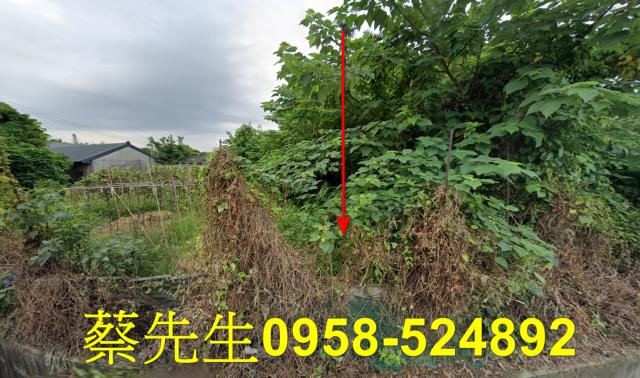台中清水農地法拍-1