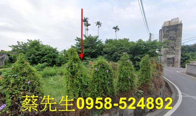 台中清水農地法拍-4